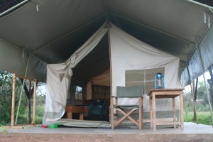 Tent