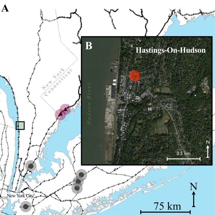 hastings-on-hudson-001