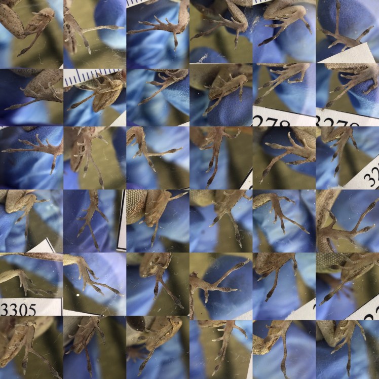 0C7FAAF7-83FB-46AE-9B5E-D0F68041B2EA